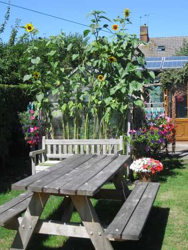 Others 5, Perfect for Petersfield B&B, Hampshire