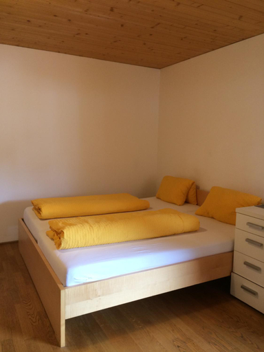 Others 3, Waldermetzge Huttenzimmer und Wohnungen, Bregenz