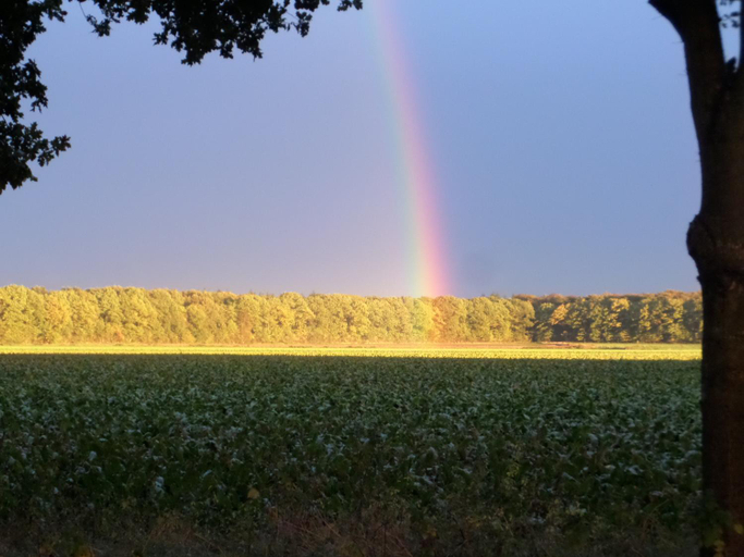 Others 2, mekelermeer, Midden-Drenthe