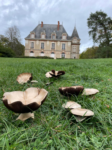 Chateau de Praslins, Loiret
