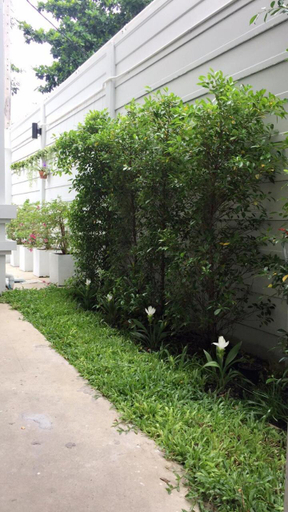 Others 5, TEAK VILLA, Bang Na