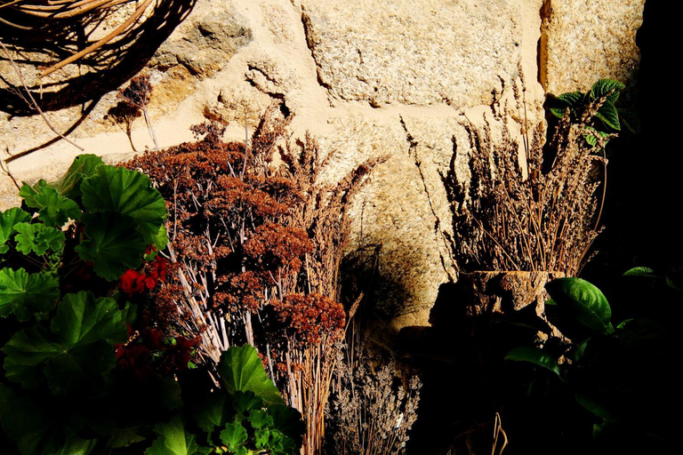 Others 5, Pazo de Chaioso Ribeira Sacra, Ourense