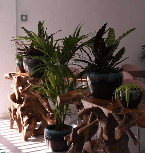 Public Area 3, Mana EcoRetreat, Las Palmas