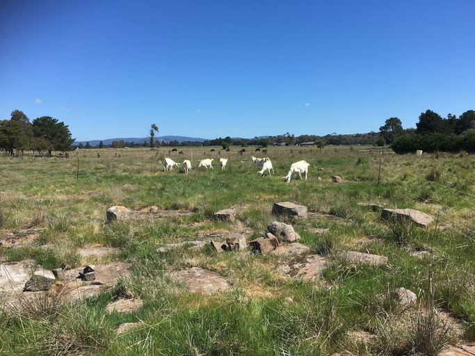 Others 4, Altitude Tiny House, Macedon Ranges - Romsey