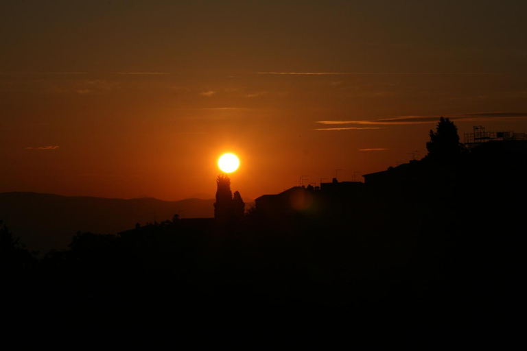 Others 5, Da Leo, Siena