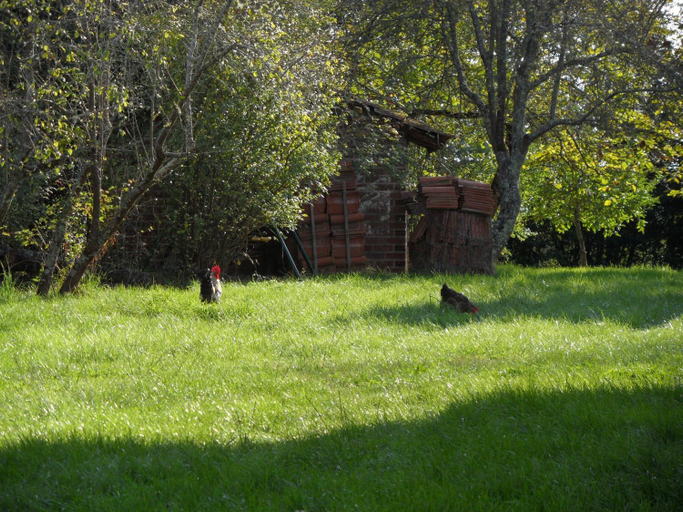 Others 4, U CAMPANA, Gironde