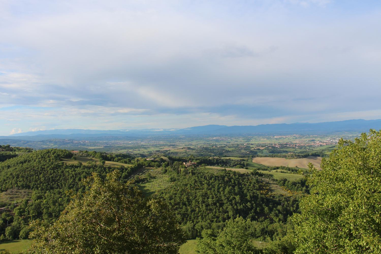 Others 2, Da Leo, Siena