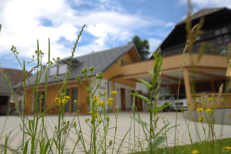 Others 4, Chalet Zana, Bled