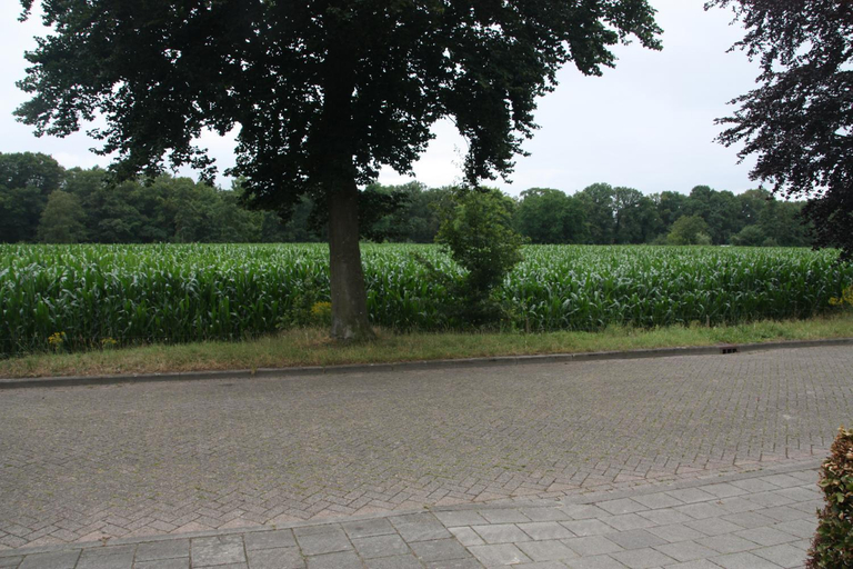 Others 3, tisOKE, Vught