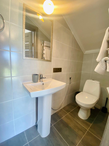 Bathroom 4, Раискии Дворик, Brovars'kyi