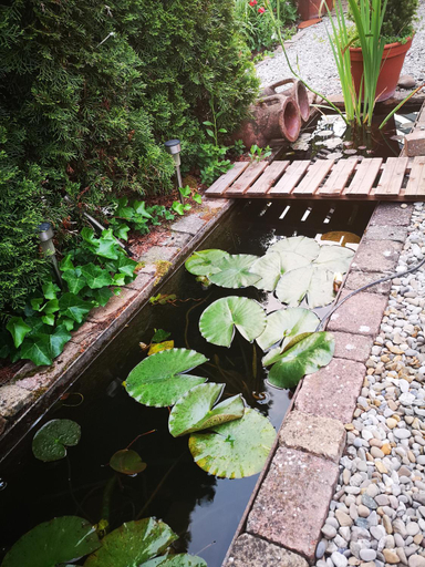 Others 4, Bed and Breakfast 24, Steckborn