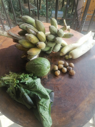 Food & Drinks 5, Jungle Crown Organic Homestay, Bagmati