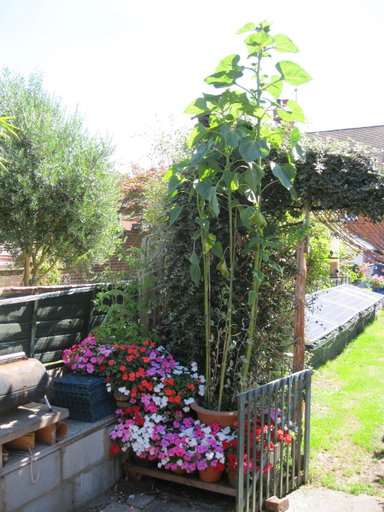 Others 3, Perfect for Petersfield B&B, Hampshire