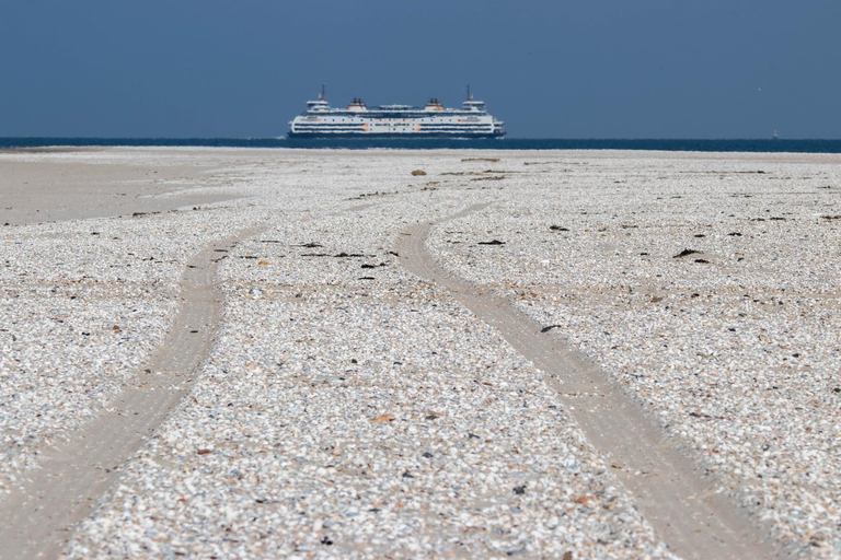 Others 2, Bed en Bike Strunen op Texel, Texel