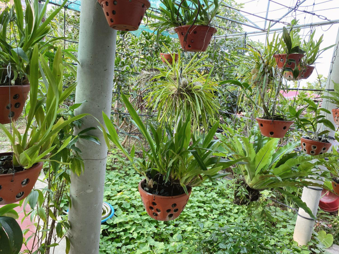 Others 4, Tre Xanh Homestay, Ninh Bình
