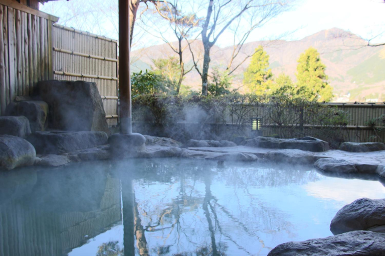 Sport & Beauty 5, Senkyoro Ryokan, Hakone