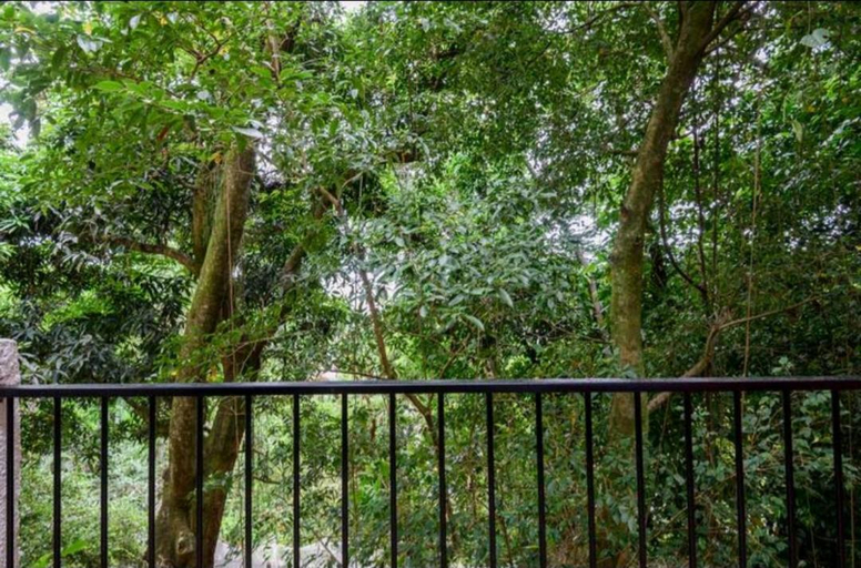 Others 5, Santa Teresa Junto a Natureza, Rio de Janeiro
