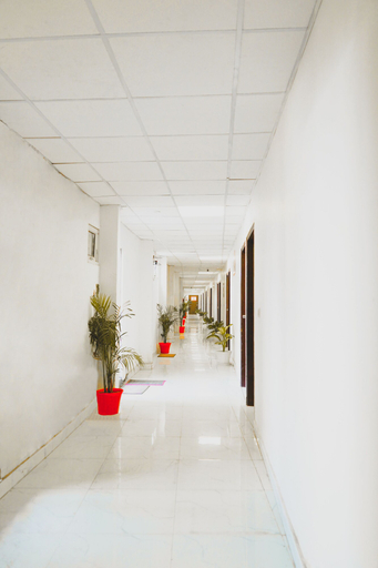 Others 4, Roomshala 124 Royal inn Rohini, Delhi