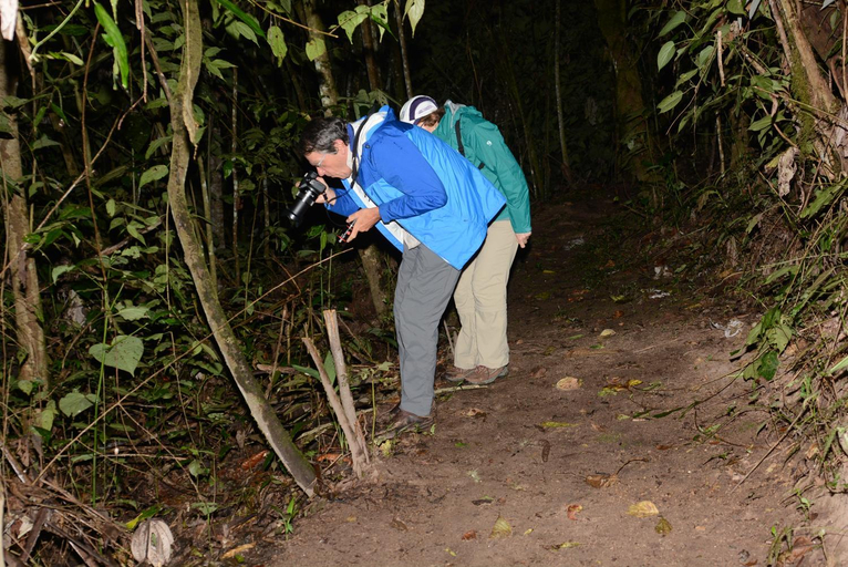 Others 5, Birdwatchers House y Lodge, Quito