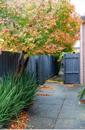 Others 3, Modern & homely comfort, Whitehorse - Nunawading E.