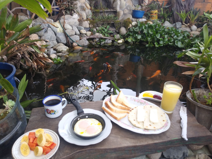 Food & Drinks 3, Bareque hostal, Salento