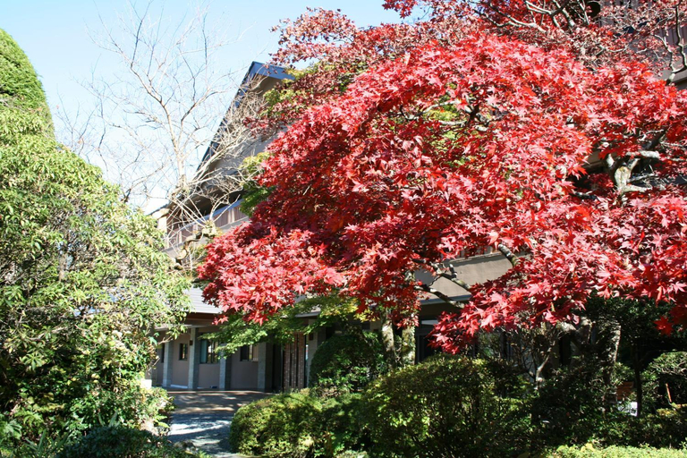 Exterior & Views 1, Senkyoro Ryokan, Hakone