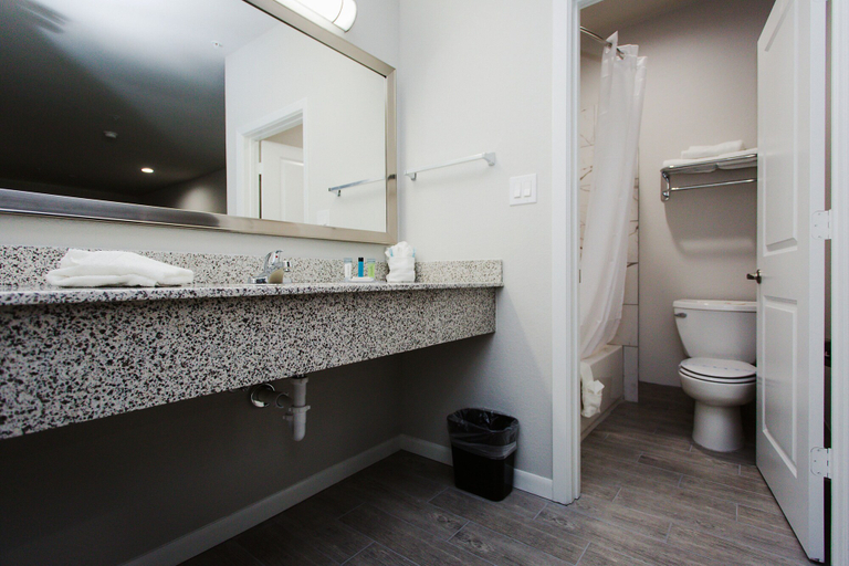 Bathroom 4, Palace Inn-529, Houston