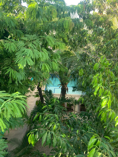 Los Arcos Hotel - TULUM, Cozumel