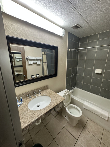 Bathroom 4, Executive inn, Muskingum