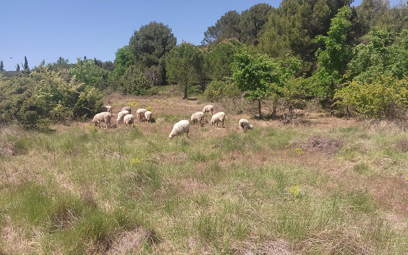 Others 4, Une Chambre en Luberon, Vaucluse