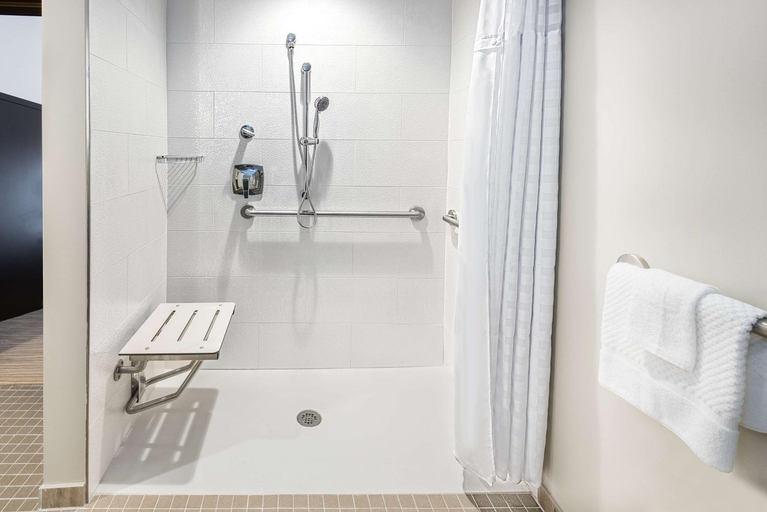 Bathroom, Embassy Suites College Station, Brazos