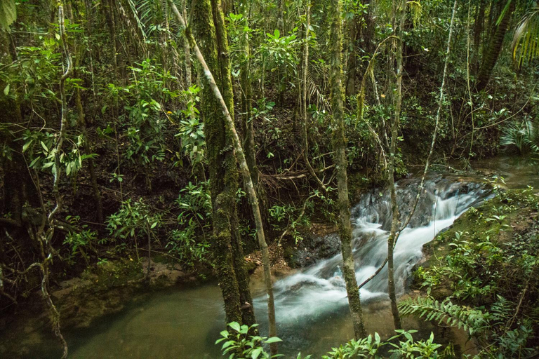 Others 3, Pousada Raizando Ecologia Humana, Alto Paraíso de Goiás