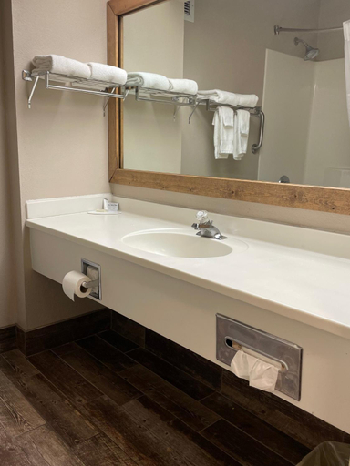 Bathroom 4, Baymont by Wyndham West Plains, Howell