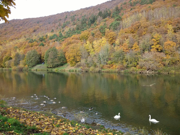 Others 3, Les Ecureuils, Ardennes