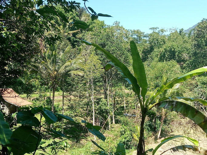Others 5, duegoal farmhouse, Tabanan