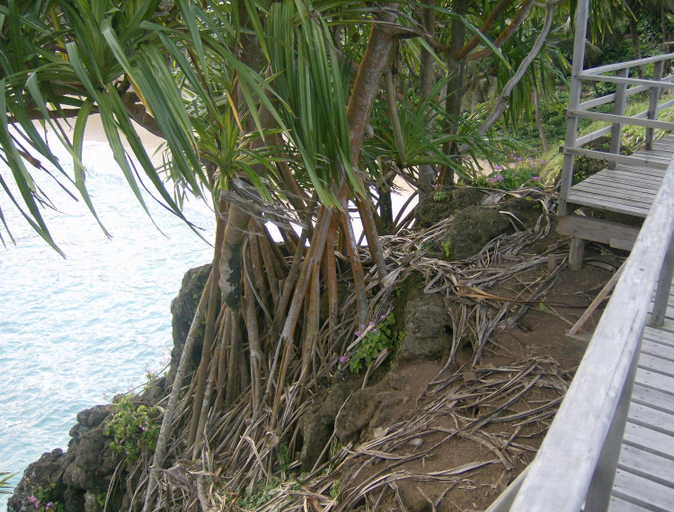 Others 5, N`Guembu Nature Resort, Caué