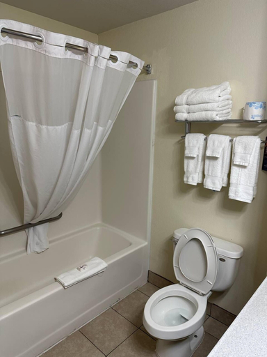 Bathroom 5, Express Inn and Suites, Dearborn
