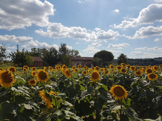 Others 3, Les Hauts de Sames, Haute-Garonne