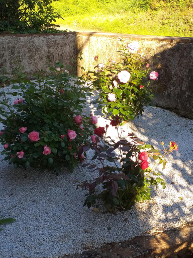 Others 2, Maison Belvoir, Tarn