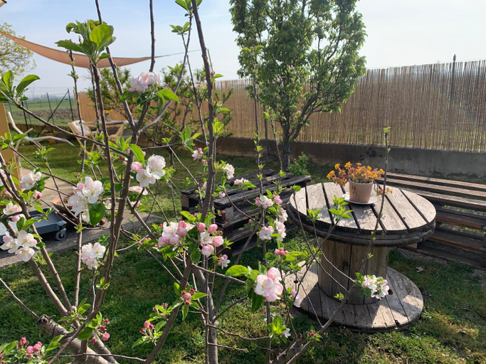 Others 2, B&B Corte Castella, Mantua