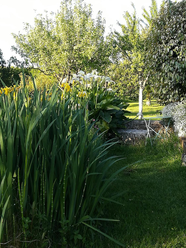 Others 4, La Cle du Puy, Charente-Maritime