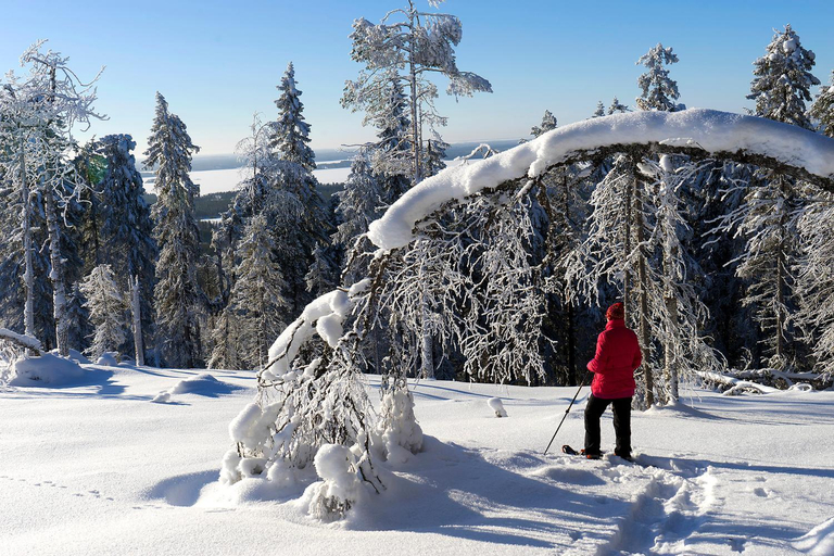 Others 5, Arctic Giant, Kainuu