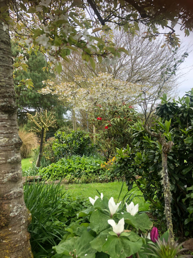 Others 3, Southland Organic Farmstay, Gore