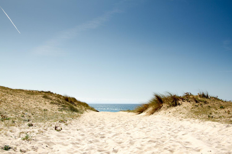 Others 3, Airial du Seignanx, Landes