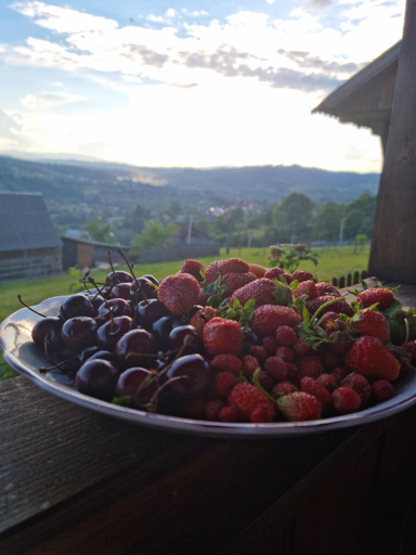 Food & Drinks, Краєвид, Nadvirnians'kyi