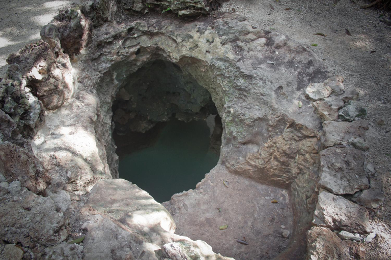 Surrounding environment 3, Aldea Maya-Ha Cabanas con cenotes, Benito Juárez