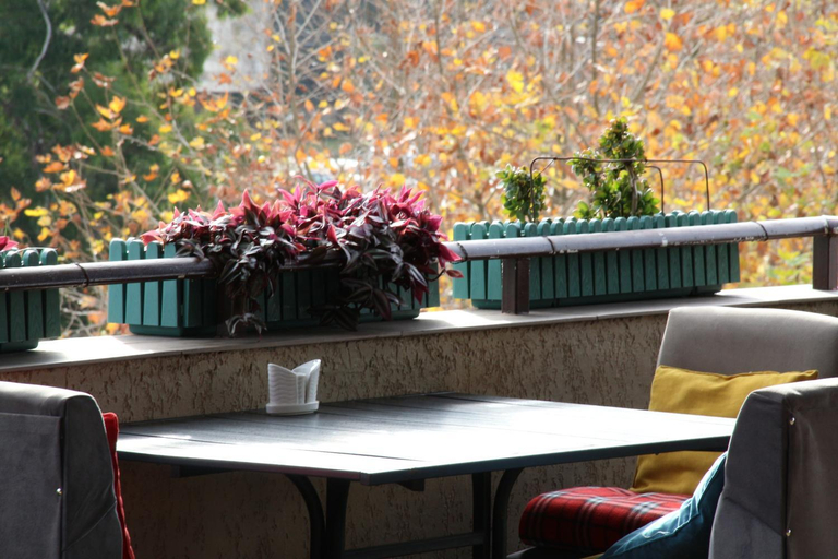 Food & Drinks, Tskaltubo Hotel Terrace, Tskaltubo