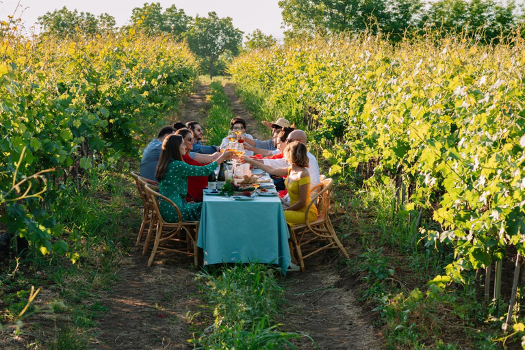 Food & Drinks 3, Vazisubani Estate, Gurjaani