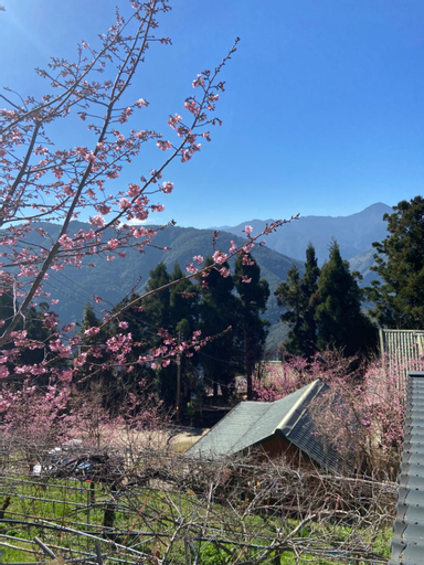 Scenery 15