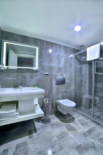 Bathroom 4, Monaco Hotel, Fatih